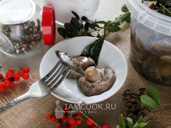 Подберезовики соленые на зиму, рецепт с фото