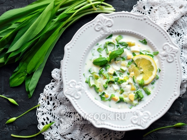 Холодный суп с черемшой на кефире, рецепт с фото