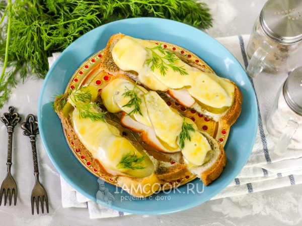Горячие бутерброды с копченой курицей и солеными огурцами, рецепт с фото