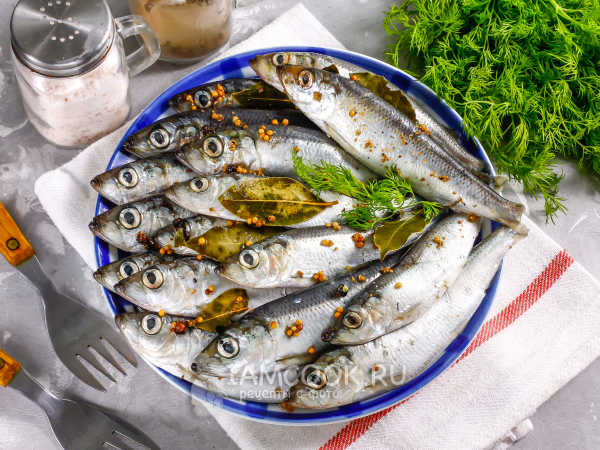 Салака пряного посола в домашних условиях, рецепт с фото