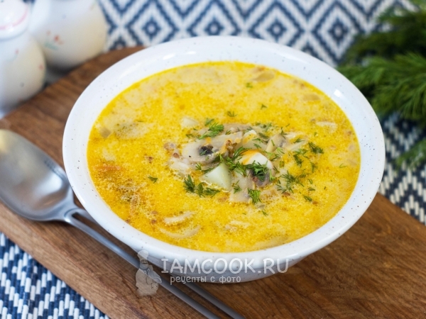 Суп с гречкой и сыром, рецепт с фото