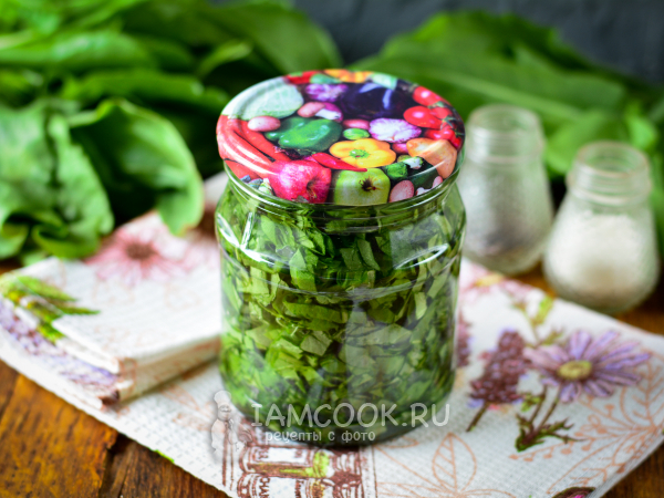 Засолка щавеля на зиму холодным способом, рецепт с фото