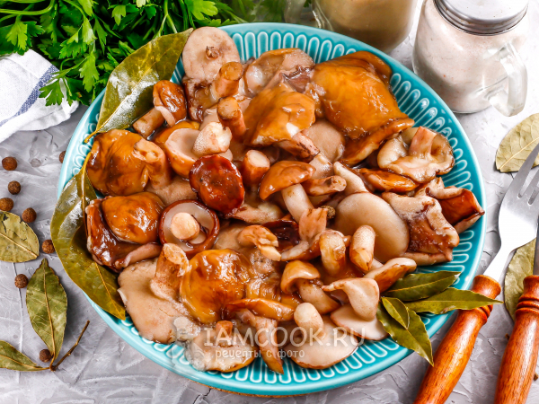 Вареные маслята. Как и сколько варить маслята?, рецепт с фото