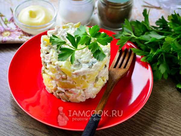 Салат со свининой и солеными огурцами, рецепт с фото