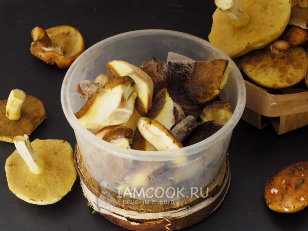 Заморозка маслят на зиму, рецепт с фото