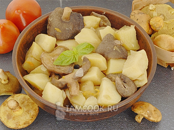 Тушеная картошка с маслятами, рецепт с фото
