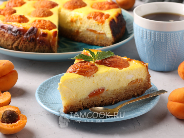 Песочный пирог с творогом и абрикосами, рецепт с фото