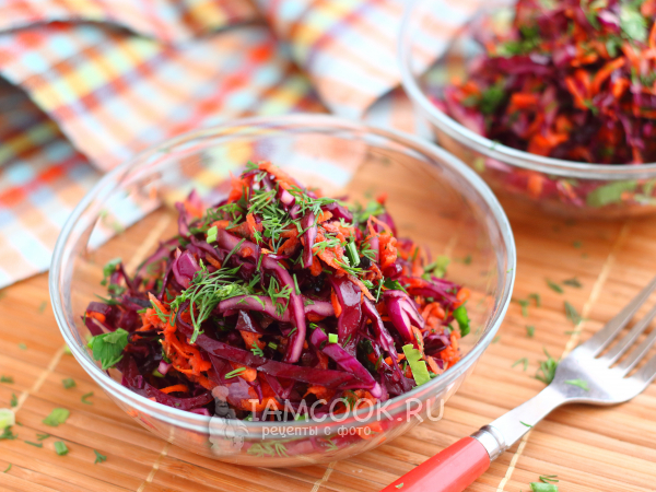 Салат из краснокочанной капусты с морковью, рецепт с фото