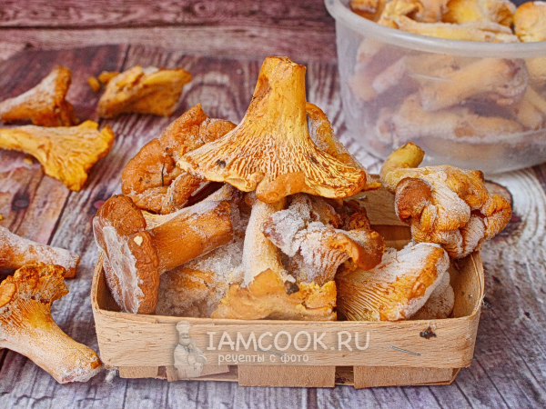 Заморозка лисичек, рецепт с фото