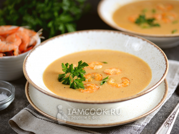 Суп биск, рецепт с фото