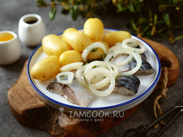 Сугудай из скумбрии, рецепт с фото