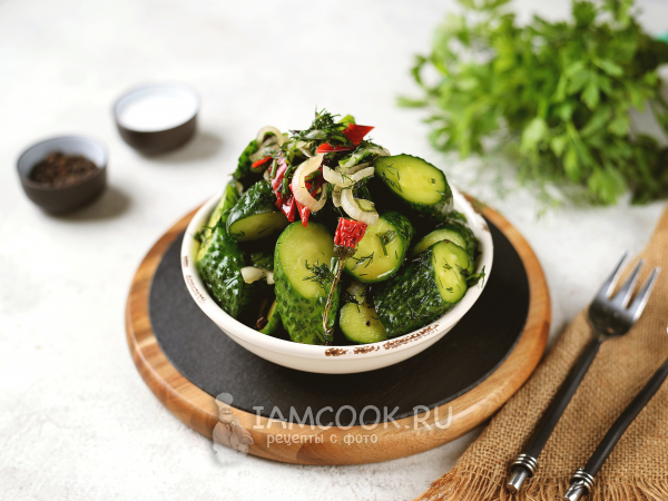 Малосольные огурцы в пакете без чеснока, рецепт с фото