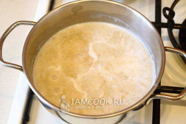 Каша из овсянки на растительном молоке