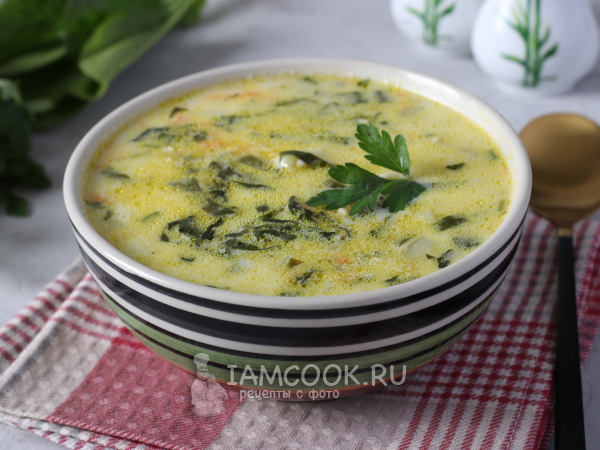 Суп со шпинатом и сыром, рецепт с фото