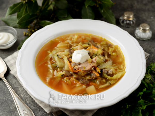 Щи с курицей и грибами, рецепт с фото