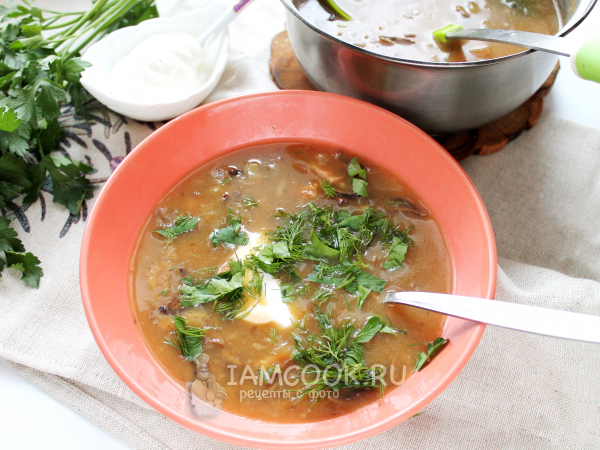 Суп Полевка, рецепт с фото