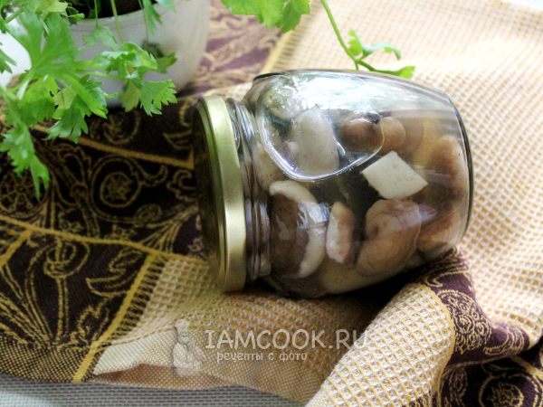 Маринованные маслята на зиму горячим способом, рецепт с фото