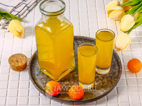 Наливка из алычи, рецепт с фото