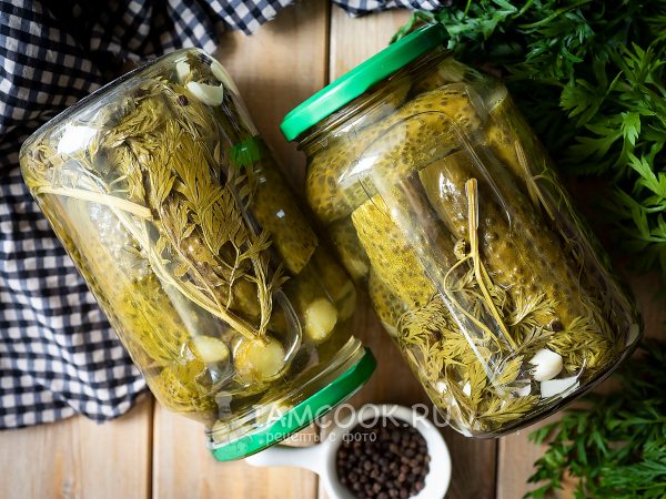 Маринованные огурцы с морковной ботвой на зиму, рецепт с фото