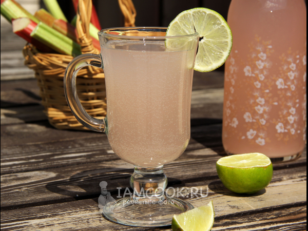 Квас из ревеня в домашних условиях, рецепт с фото