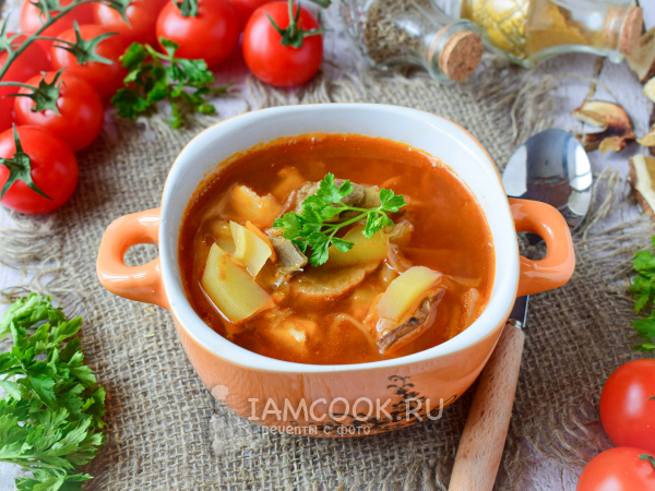 Щи с сушеными грибами и свежей капустой, рецепт с фото