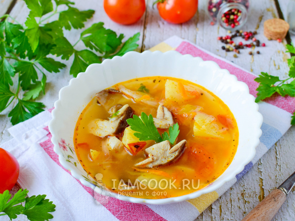 Щи с белыми грибами, рецепт с фото