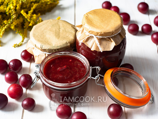 Кетчуп из алычи на зиму, рецепт с фото