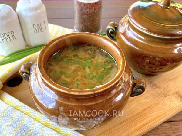 Щи в горшочке в духовке, рецепт с фото