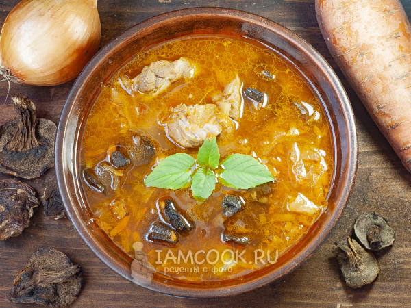 Щи из квашеной капусты с сушеными грибами, рецепт с фото