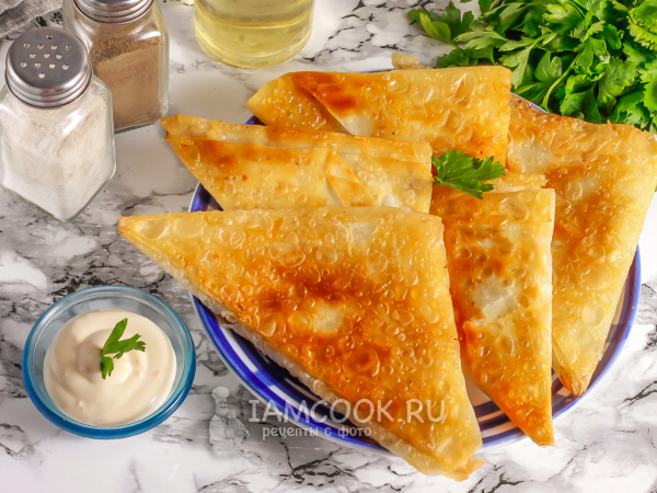 Чебуреки из теста фило, рецепт с фото