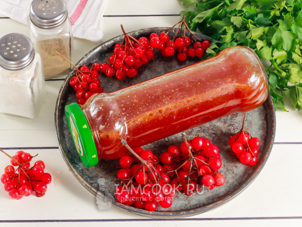 Соус из калины на зиму, рецепт с фото