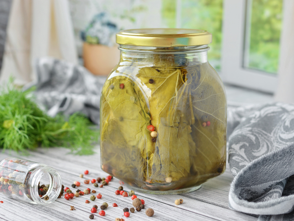 Консервированные виноградные листья для долмы, рецепт с фото