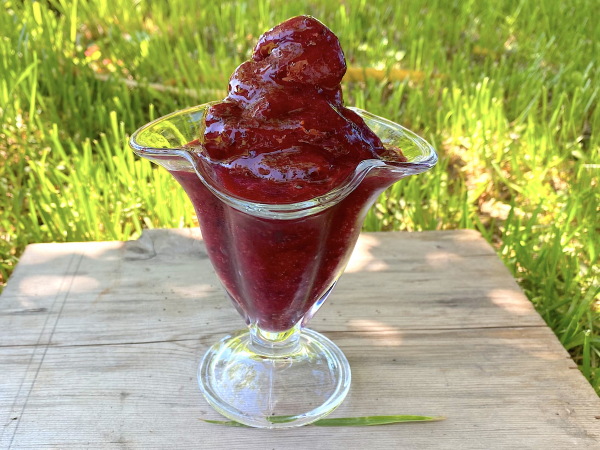 Сорбет из черной смородины, рецепт с фото