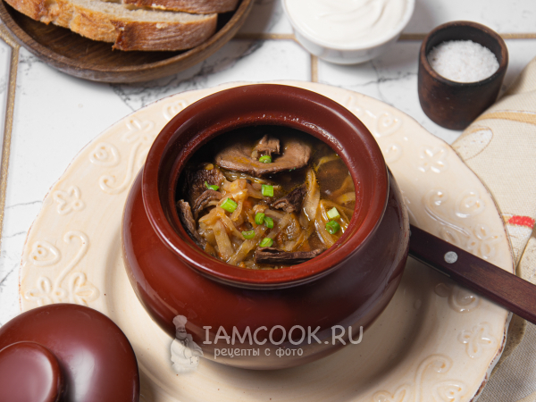 Щи петровские (с грибами), рецепт с фото