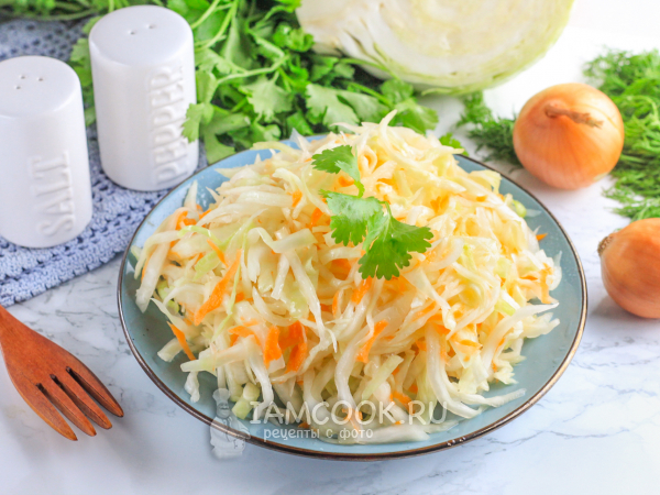 Квашеная капуста с луком, рецепт с фото