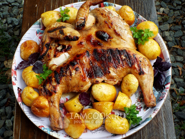 Курица в соусе терияки на мангале, рецепт с фото