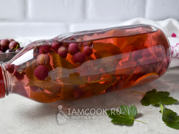 Компот из крыжовника Мохито на зиму, рецепт с фото