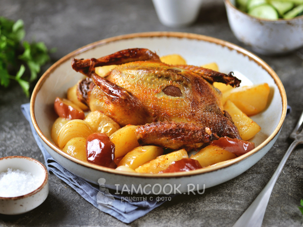 Голубь в духовке, рецепт с фото