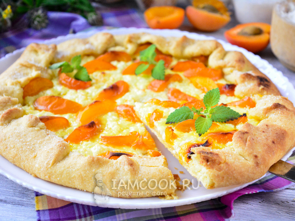 Галета с абрикосами и творогом (в начинке), рецепт с фото