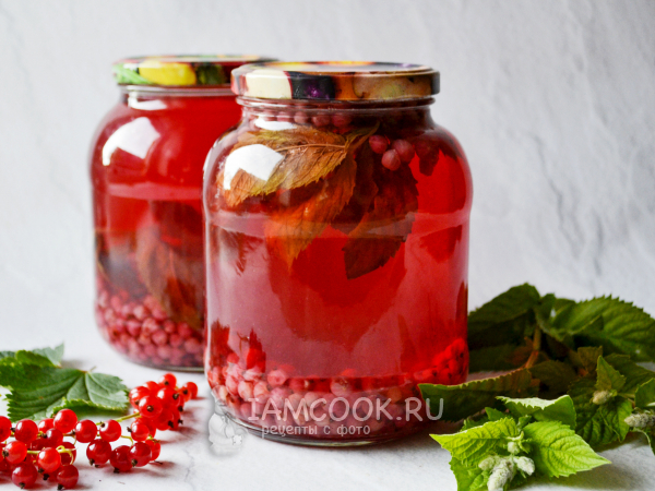 Компот из красной смородины с мелиссой на зиму, рецепт с фото