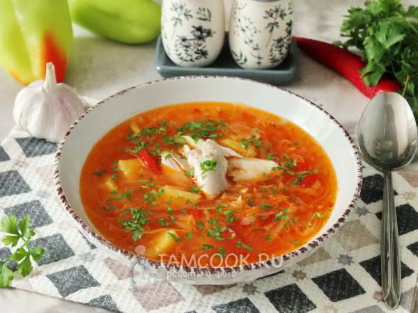 Щи без зажарки, рецепт с фото