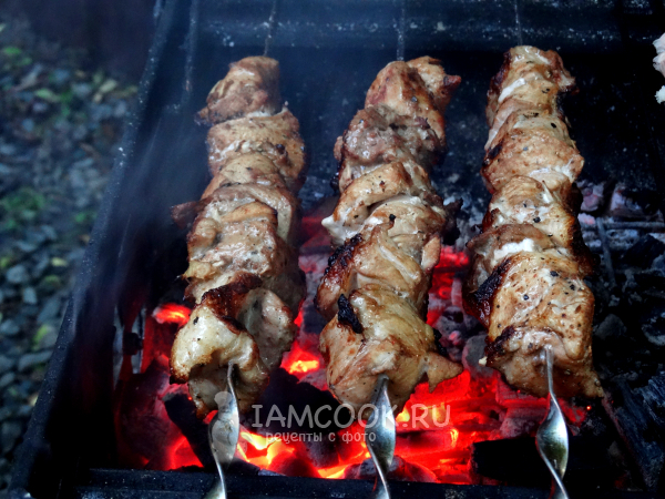 Шашлык с аджикой и соевым соусом, рецепт с фото