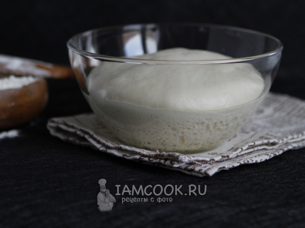 Тесто для пиццы холодной ферментации, рецепт с фото