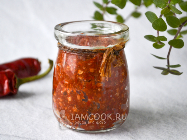 Мегрельская аджика, рецепт с фото