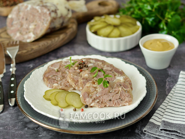 Сальтисон из говядины, рецепт с фото