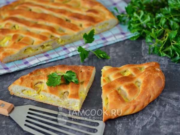 Пирог из дрожжевого теста с курицей и картошкой, рецепт с фото