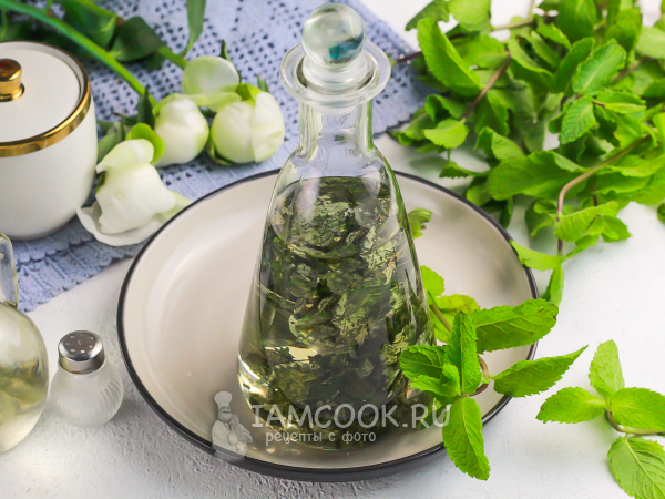 Мятное масло (растительное), рецепт с фото