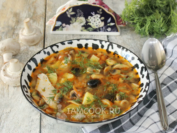 Грибная солянка с курицей, рецепт с фото