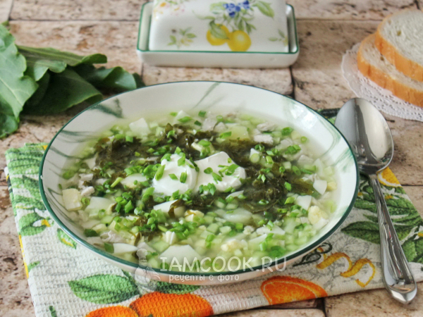 Холодный щавелевый суп с мясом, рецепт с фото
