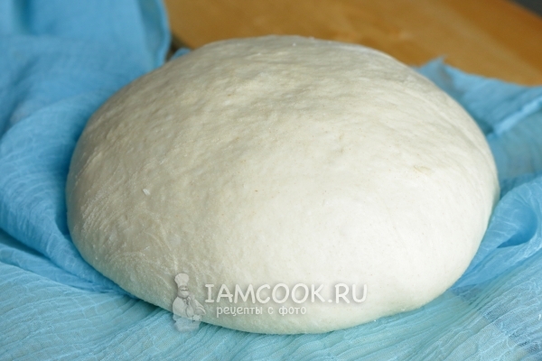 Фото дрожжевого теста для пиццы на воде